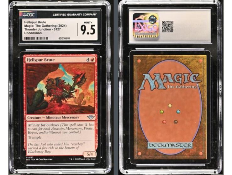 This curated set of four cards is a magnificent visual feast, paying homage to the whimsical and rugged aesthetics of the 202